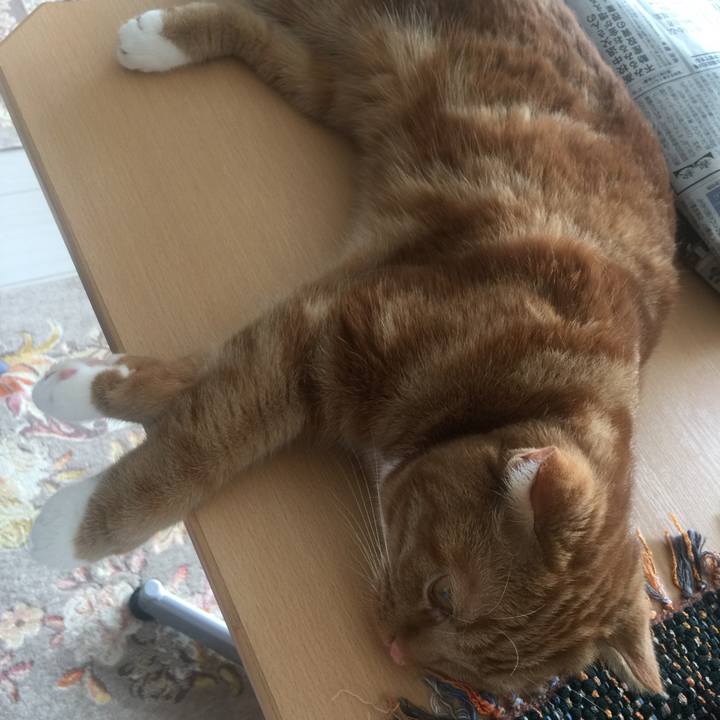 2bc80fff 0b58 40ca 8bb5 ce6a94af6cfe 1530328835681