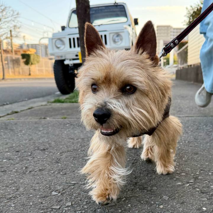 2bc86958 a6f4 4140 a760 768ec23ec0c4 1771781897327