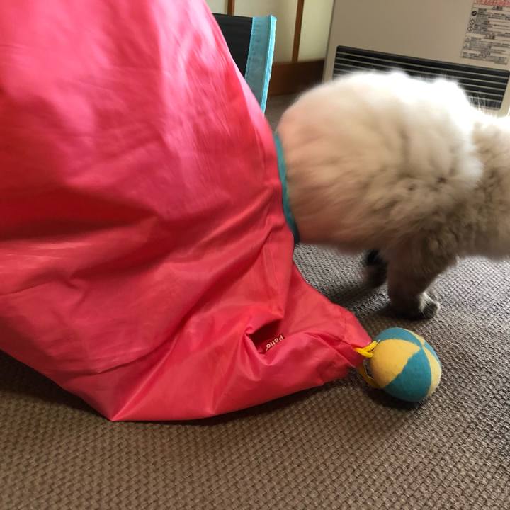 2bc87f44 a143 454e 9e4c 978df66b44b0 1635660368203