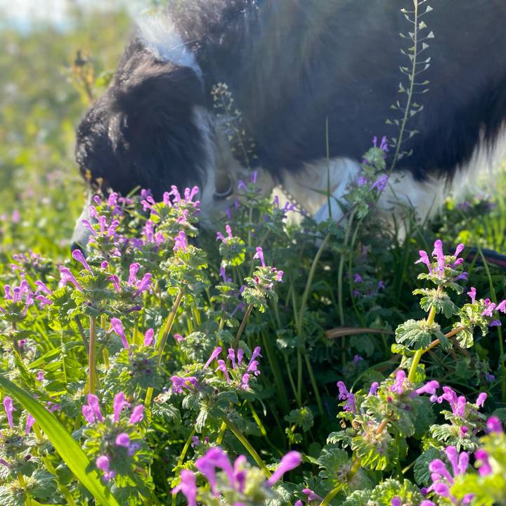 2bc8a5f8 302c 4ebb ab88 fcfe7fea7541 1639527736419