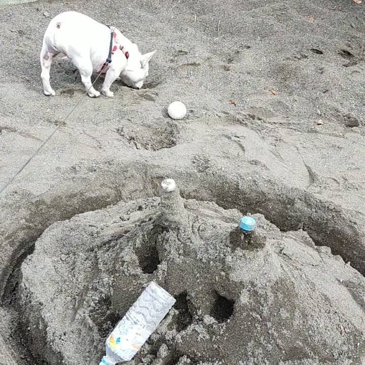 2bc91a79 af44 45b3 b2c8 99de6867b4b4 1665283896805