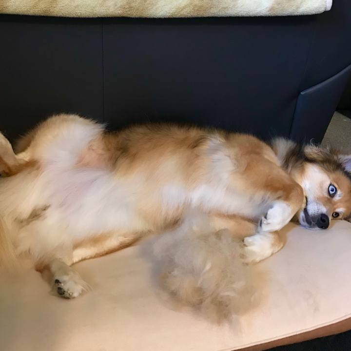 2bc92714 8af9 420e bd86 22e4a566a448 1529896173609