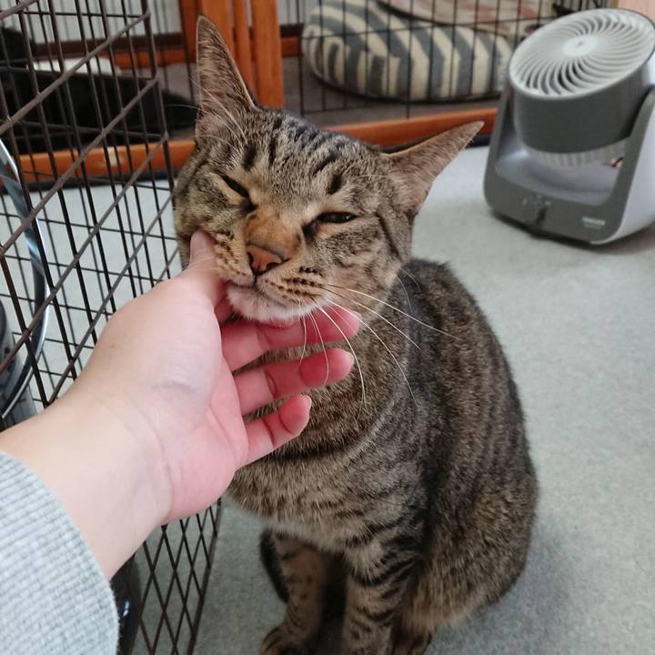 2bc95163 051c 4a7e 9046 de6198d5ead6 1517638769974