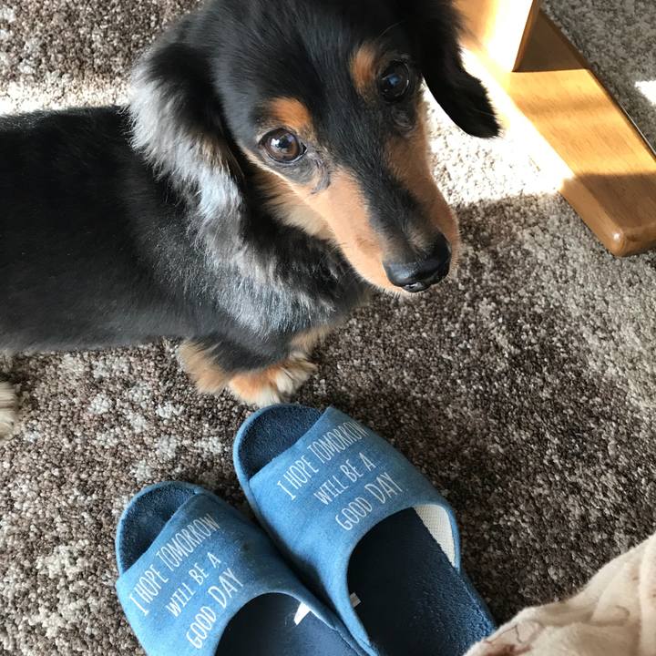 2bc96e28 7e03 4497 a079 5b3f328c783b 1512175089662