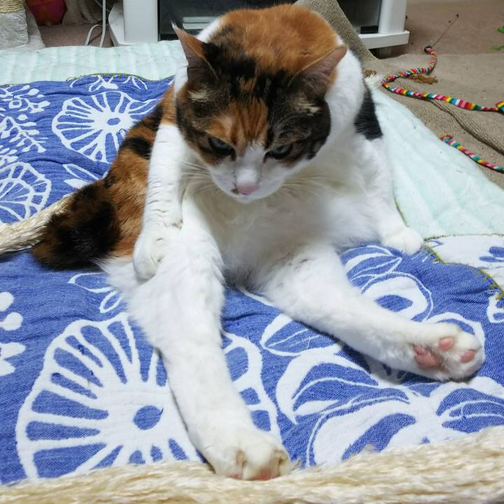 2bc972c3 5d19 466a abe7 a00a20538b2d 1537099215045