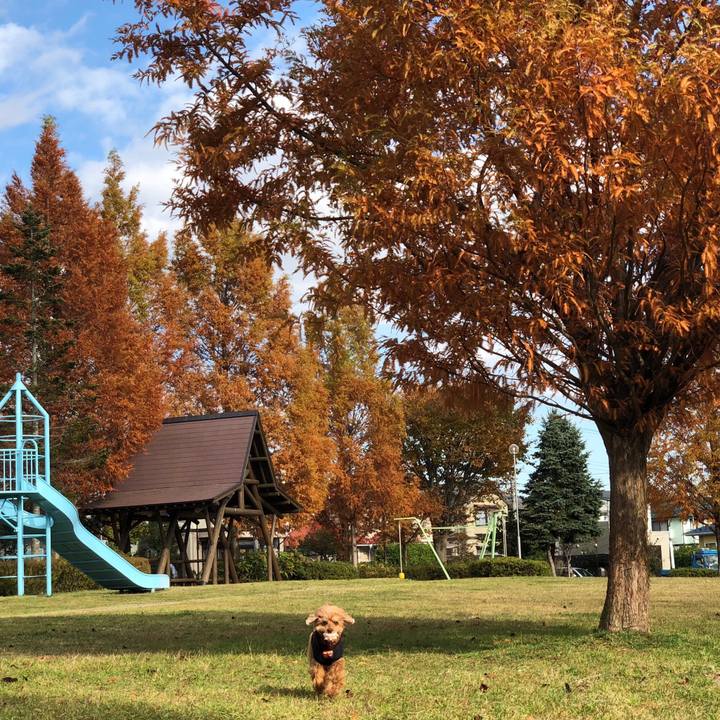 2bc9e701 0965 4ffe 8914 dd3de319a88d 1542069420664