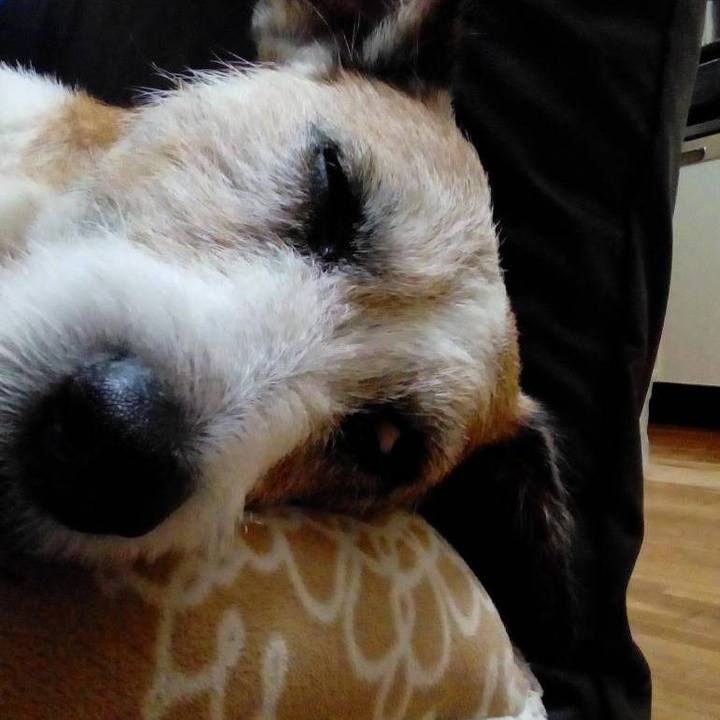 2bca0188 36ff 47c1 8339 41f4b8575d92 1543069351570