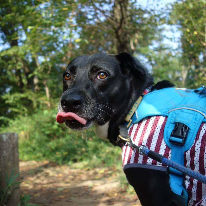 2bca01b4 40cb 45b6 afe6 4f2c0e61f9c7 1630282231300