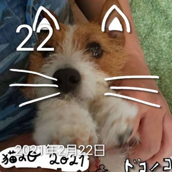 2bca0328 9a1f 4127 8b16 30bbff4672d8 1708566428709