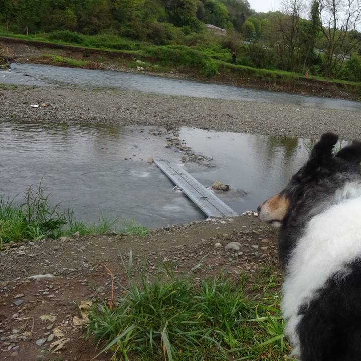 2bca5ffd 5ff1 4af9 aff5 7651e52708eb 1587385353752