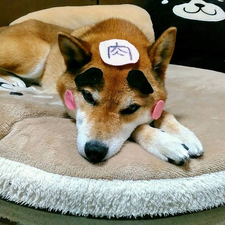 2bca7262 aac8 4f30 a82b 83241f2cbef8 1561809446745