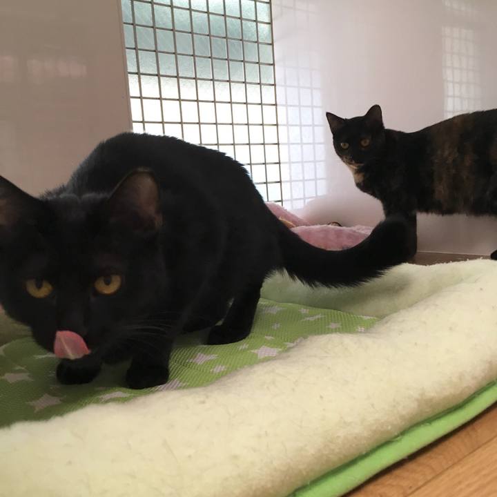 2bca7b80 5eef 43db 9d21 a36f08436f51 1518866197147