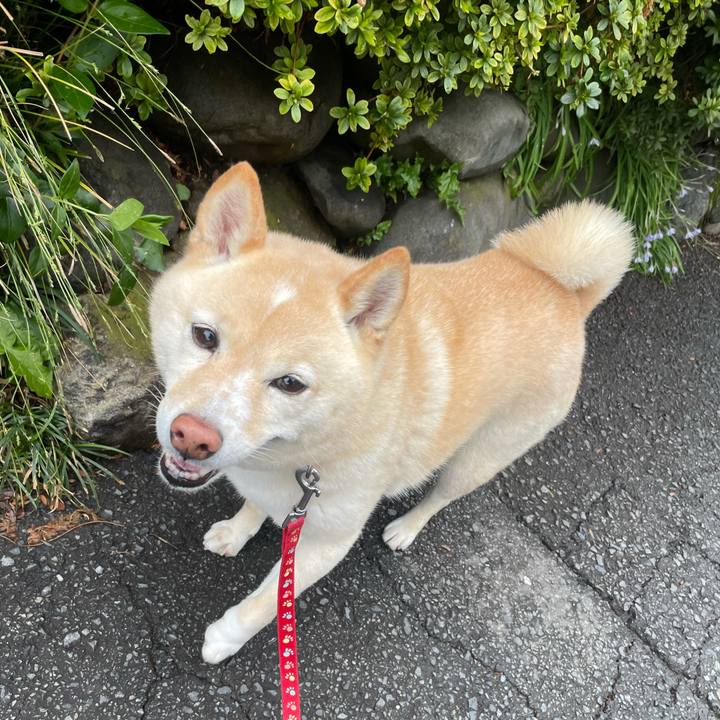 2bca85de 0373 4c6c a091 0c3740f553c8 1743584436309