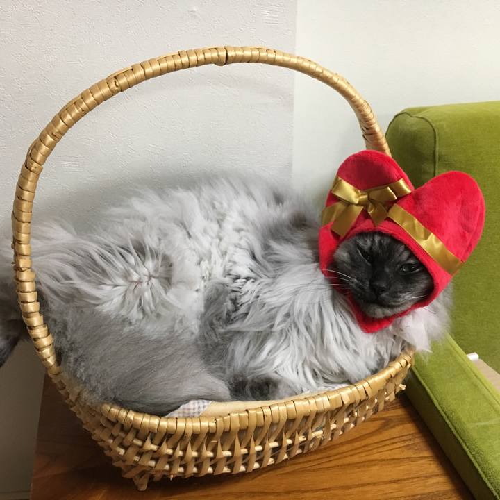 2bcae060 c5db 4af7 bfe9 91140100d6c8 1516716194534