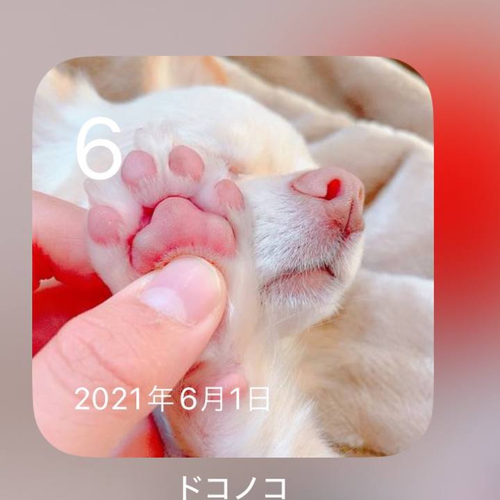 2bcb5804 58b6 449d bf64 515adcd46ada 1717679924177