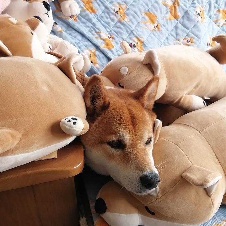 2bcb6ae1 8f49 4fb0 8c3e fa0432bc0704 1621824603049