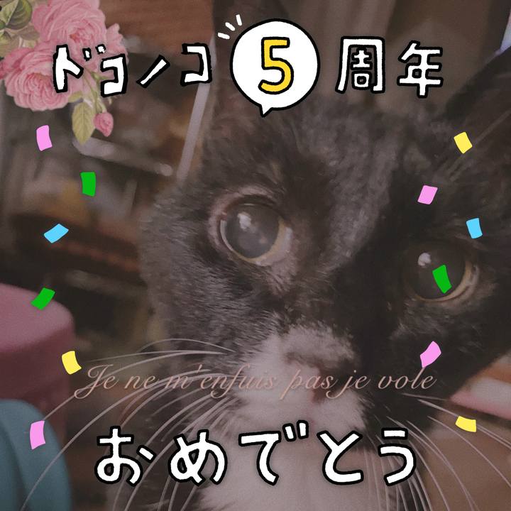 2bcb93e2 1cb2 4f82 91fc d61d454e6796 1622866960203