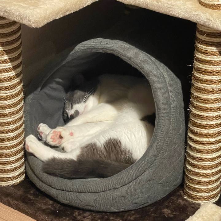 2bcbe834 b806 4b29 8c8a 5826eb856104 1663668549664