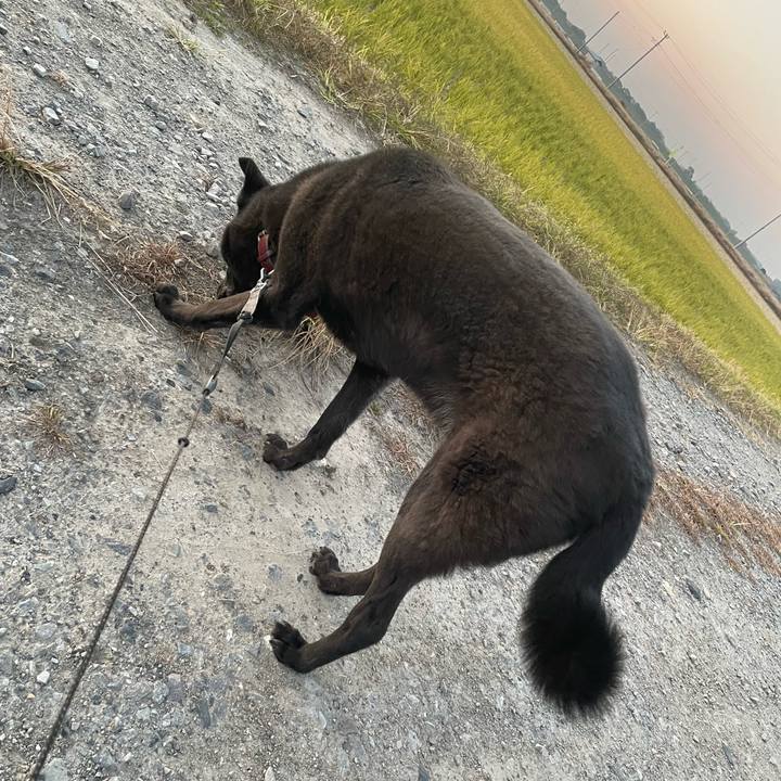 2bcc5302 2a32 4ef5 b25c ed17c12eb411 1668066137996