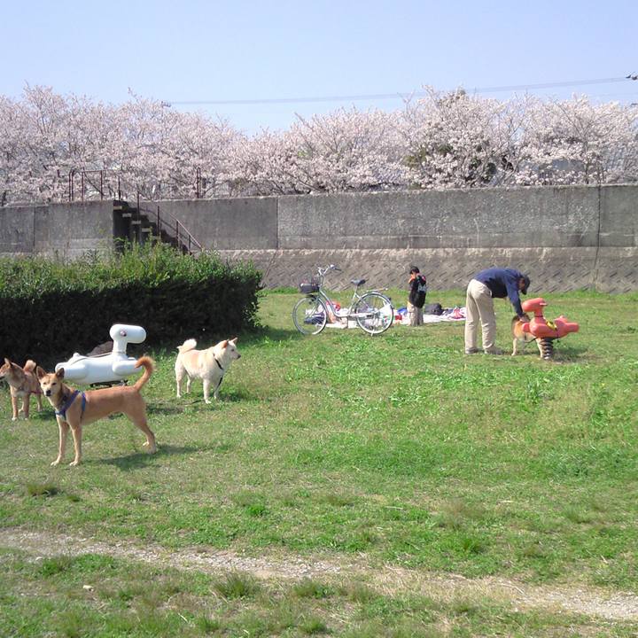 2bcc56b9 01cc 4d80 b61f 2cbfc153a9f2 1677954963815