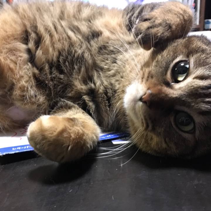 2bccdadc 14bd 4ba1 8aad ec3f4abbd8cc 1522452879399