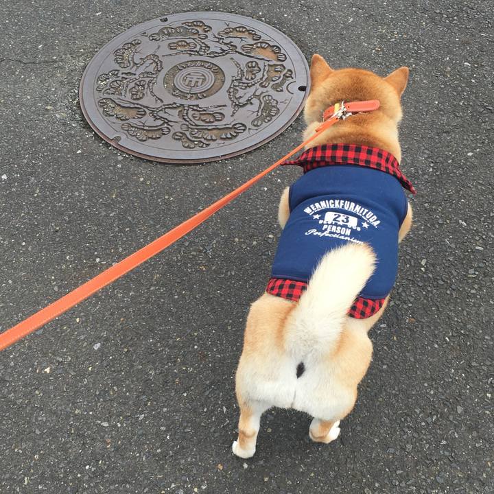 2bcce6f9 f6bb 4dad 929e 770f8b220e11 1570408640929