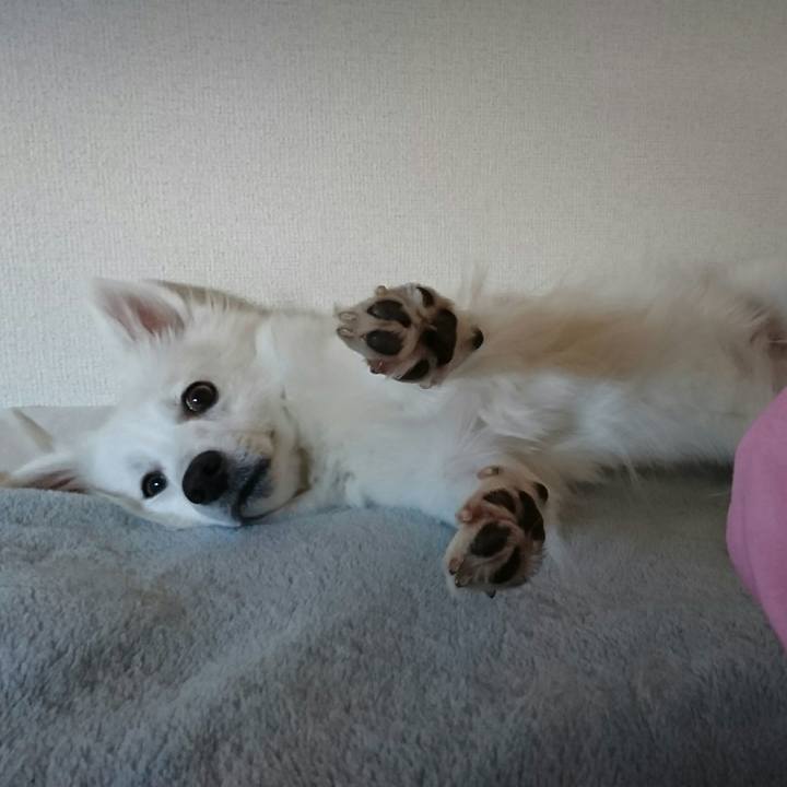 2bcceb9e 8d68 4a7a a34c f35a574773e4 1510023406420