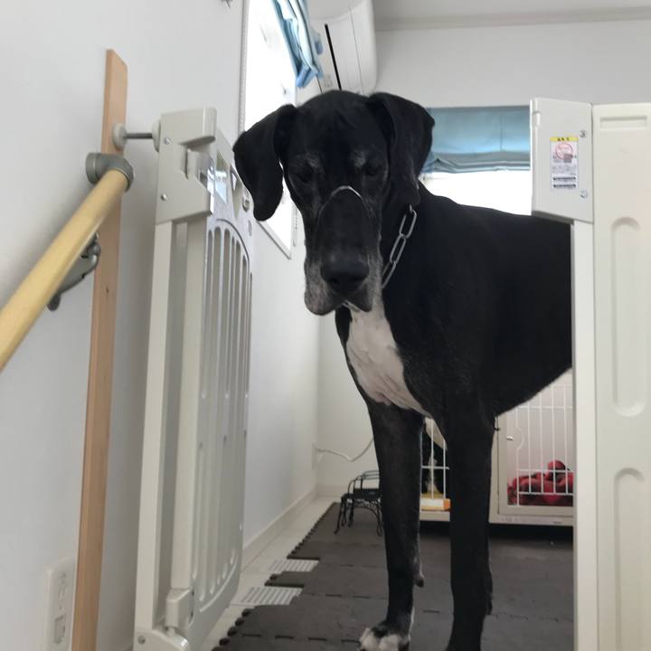 2bcd53a2 0b66 4021 abfe 20113f98c4bb 1521861000415