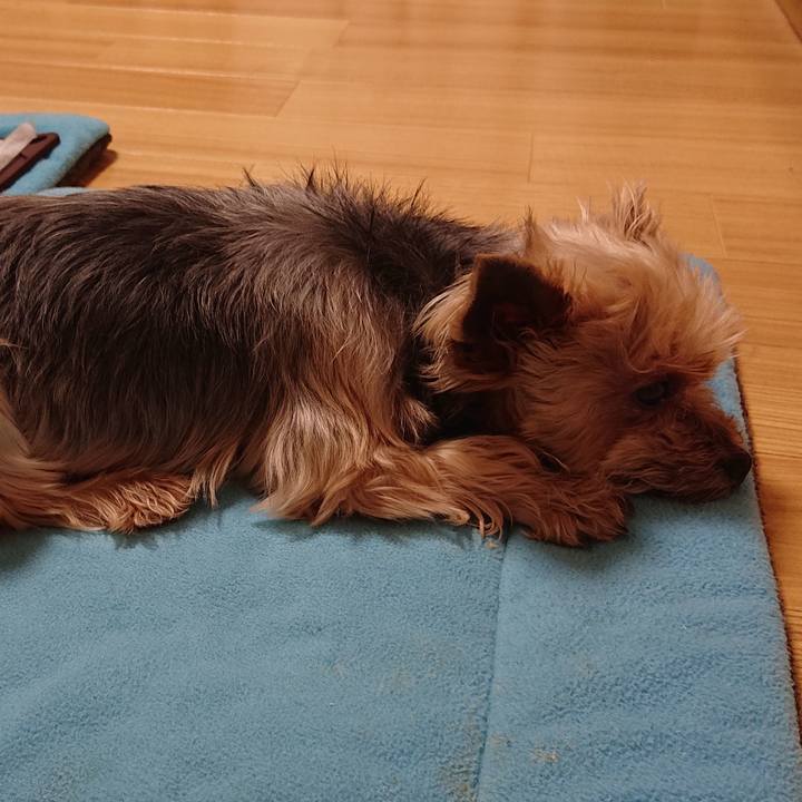 2bcd620f c14f 4f43 9bf8 f86b58a189b1 1561642971700