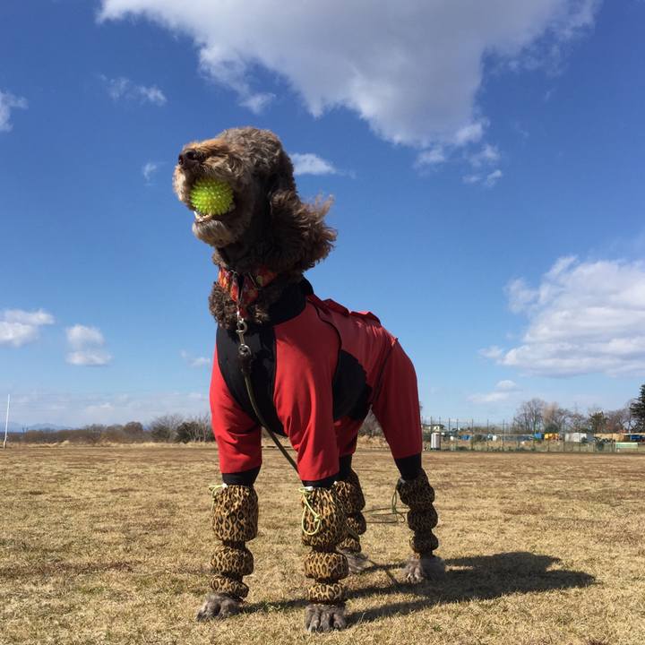 2bcd9d57 17e1 4f78 84a0 ebc9109fcee8 1518441058717