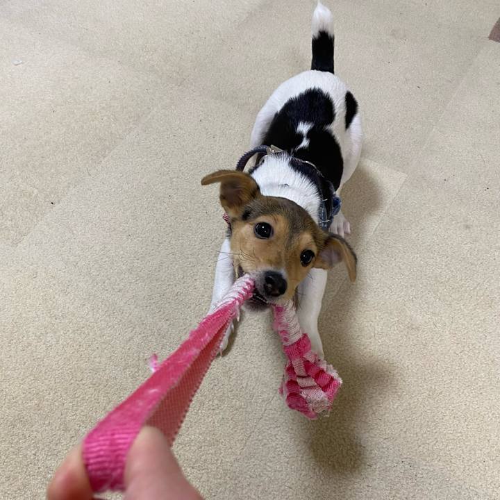 2bcdd325 35d3 48ce 922d e4578160101e 1744058852536