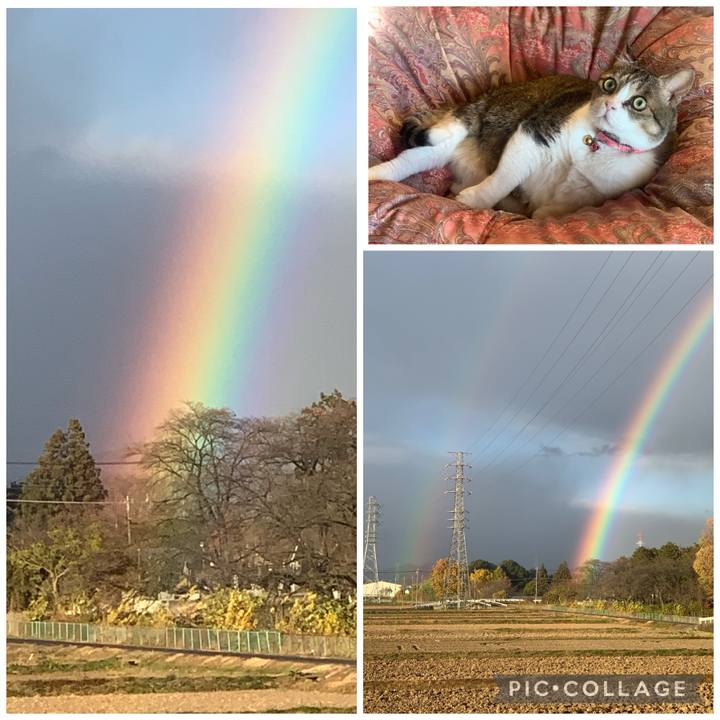 2bcde189 ca09 4c54 96ba 28a1858486e0 1701169454337