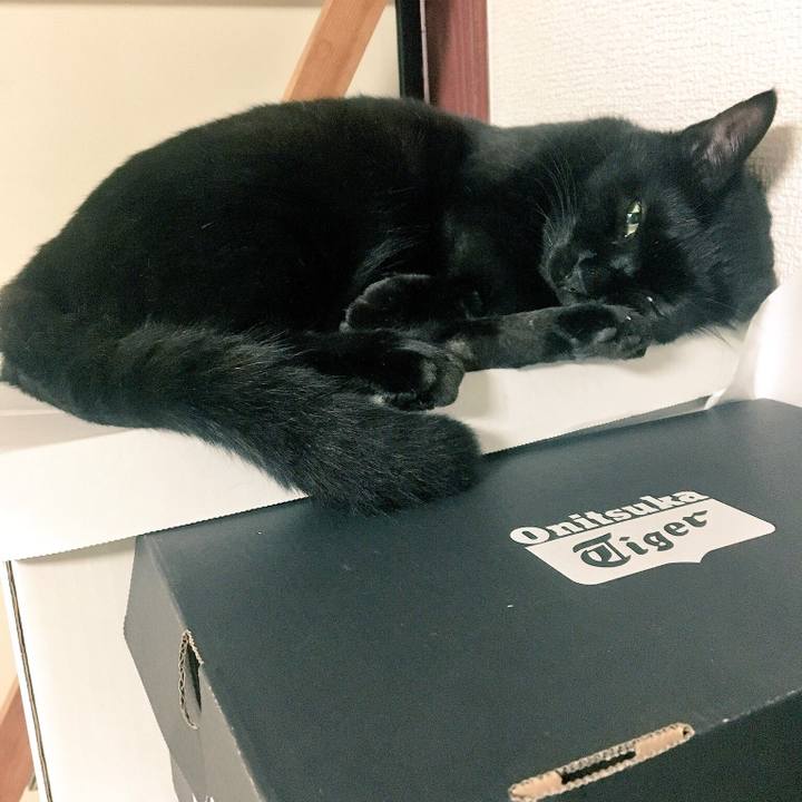 2bce40e6 418c 4c7a b16f 3ac56b456570 1531023532084