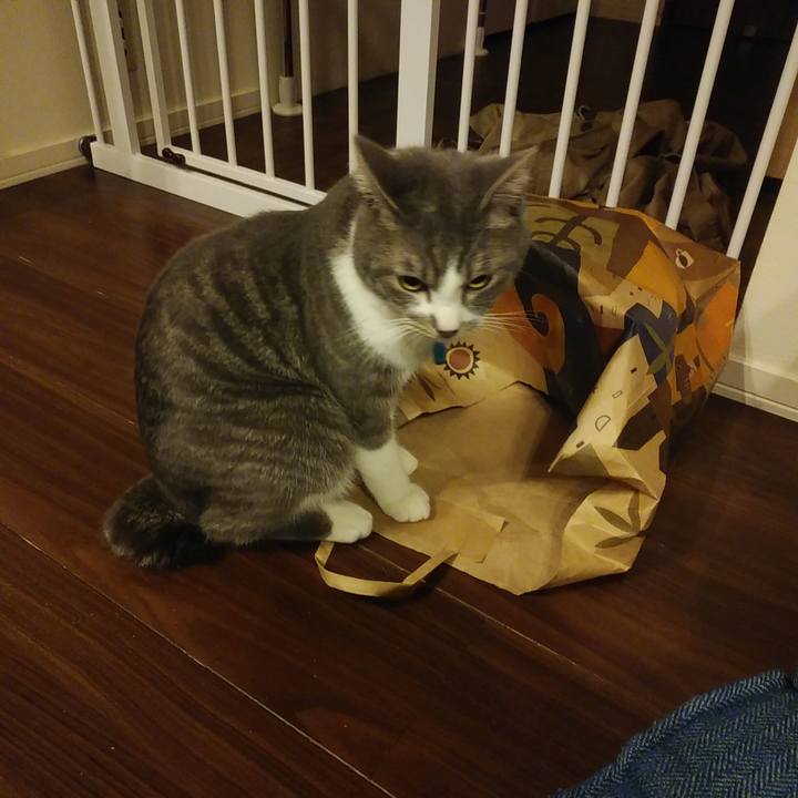 2bcec55d 3129 44da b573 31852a099413 1582554799118