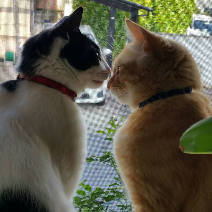 2bceea47 2b18 4aa7 b098 2b7970049688 1532677170257