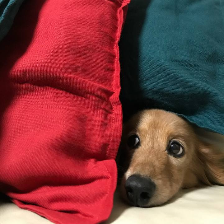 2bceee75 0cfa 44c2 a242 0960b81ba692 1701502298717