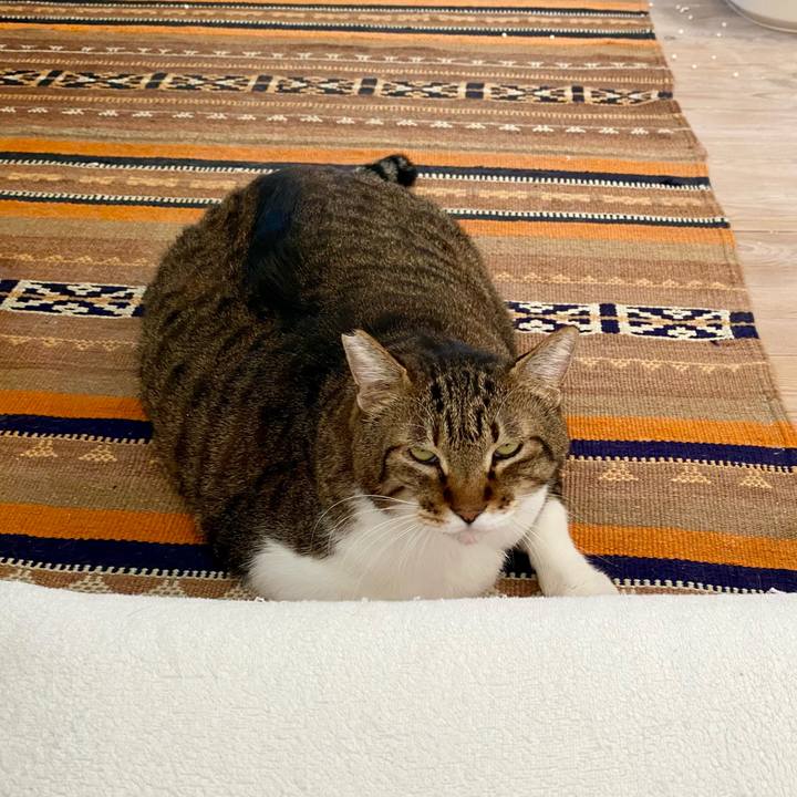 2bcf0266 d77a 4fa9 878f c642a14520d3 1755935909758