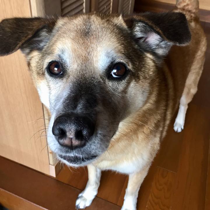 2bcf0bc2 05d1 405d a938 0b36517b205f 1587549468886