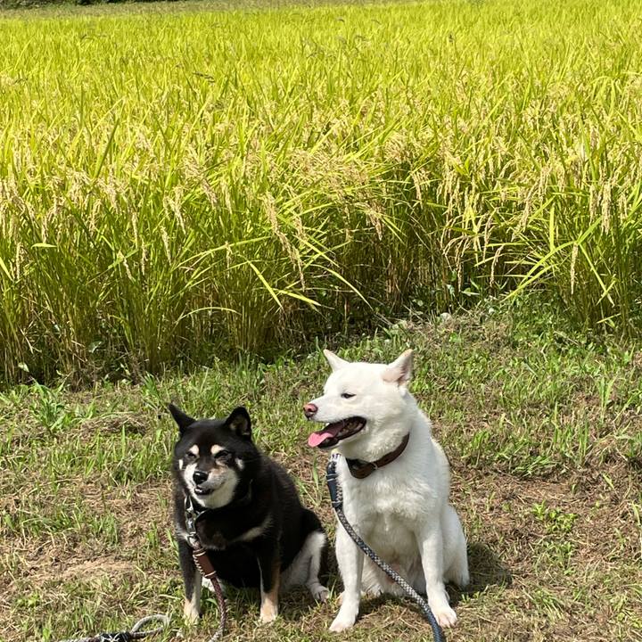 2bcf2d6d ca9a 4b43 b60a a2151ad0a38e 1661566607782