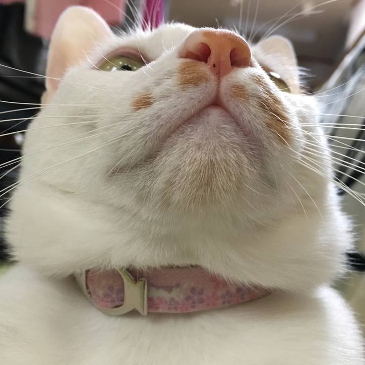 2bcf3c0e e3e9 415b 98f3 8430c8e1b3fb 1552905669826