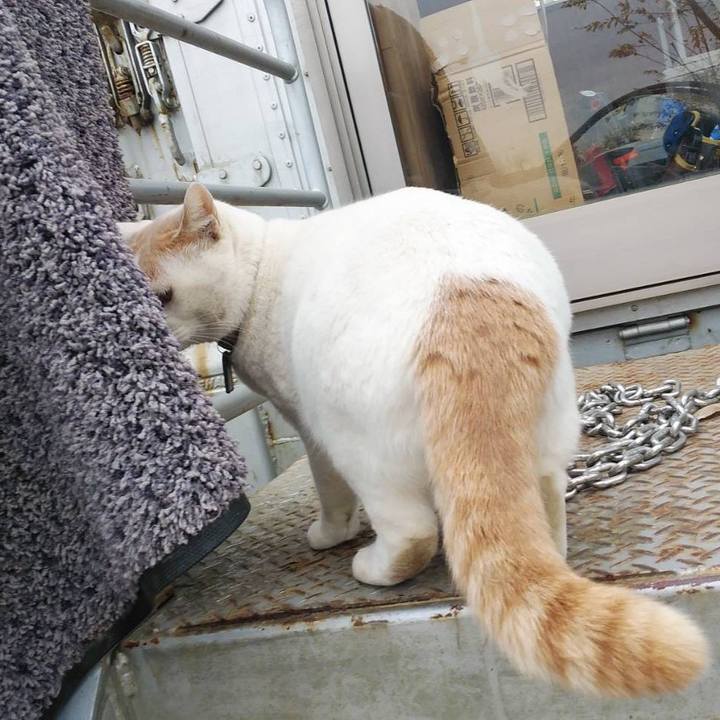 2bcf558c e1ee 41fd 8a7d 68d97f76258e 1576200230957