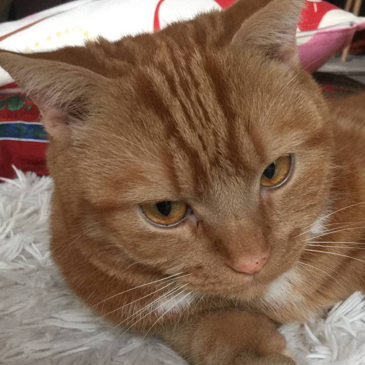 2bcf6ef4 180b 4df8 be68 5b92d5675603 1538183516363