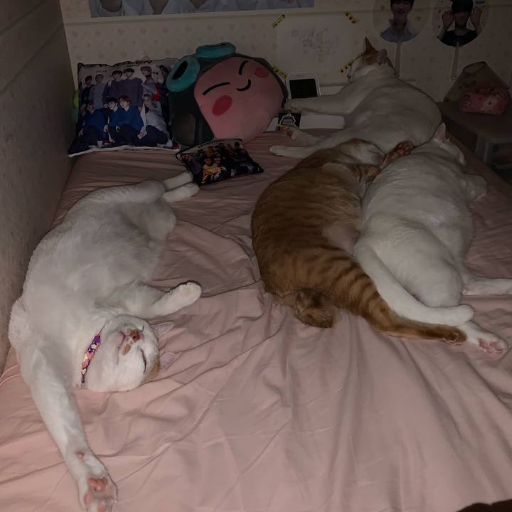 2bcfbbbd e687 4382 8fb6 8e76e3ed08ce 1562775601943