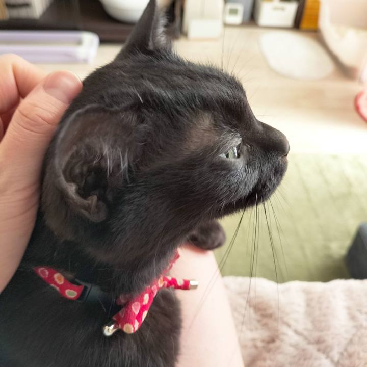 2bcfc100 7ecb 4b24 a957 76bfa949f8db 1678573429921