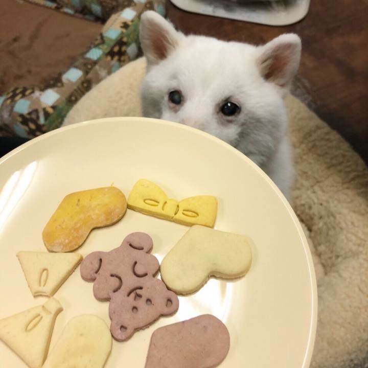 2bcfcf60 39df 46a2 adac 8a030af40f8e 1644841504030