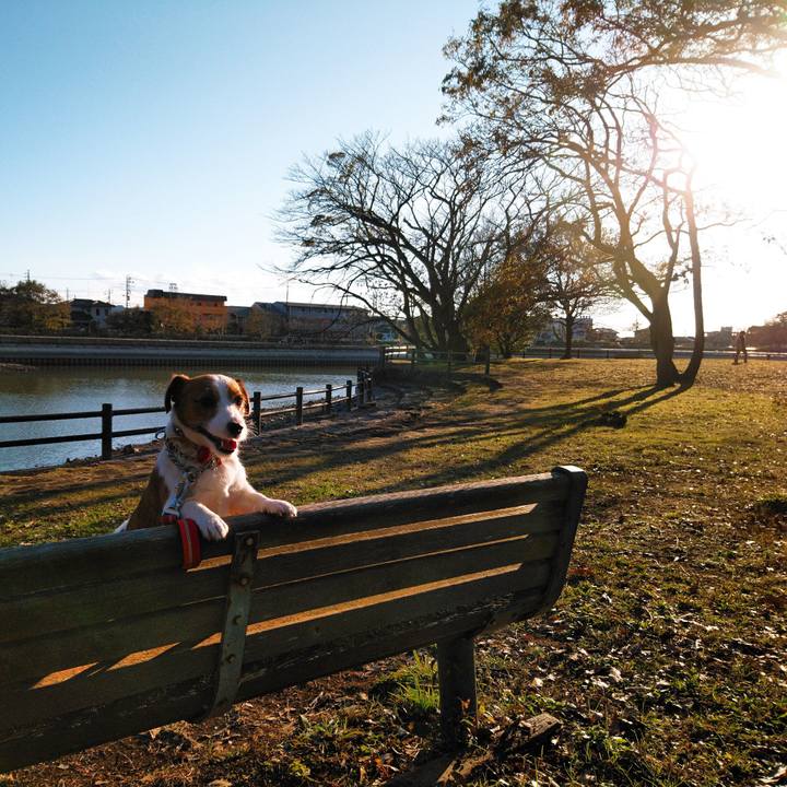 2bd00558 f14d 4395 9e06 0ca60a11c25d 1543148799341