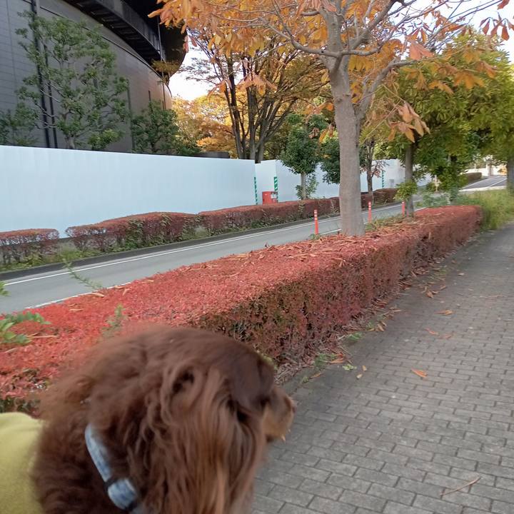 2bd007d8 eddb 49cd 9c72 fe784305b69c 1763330074462