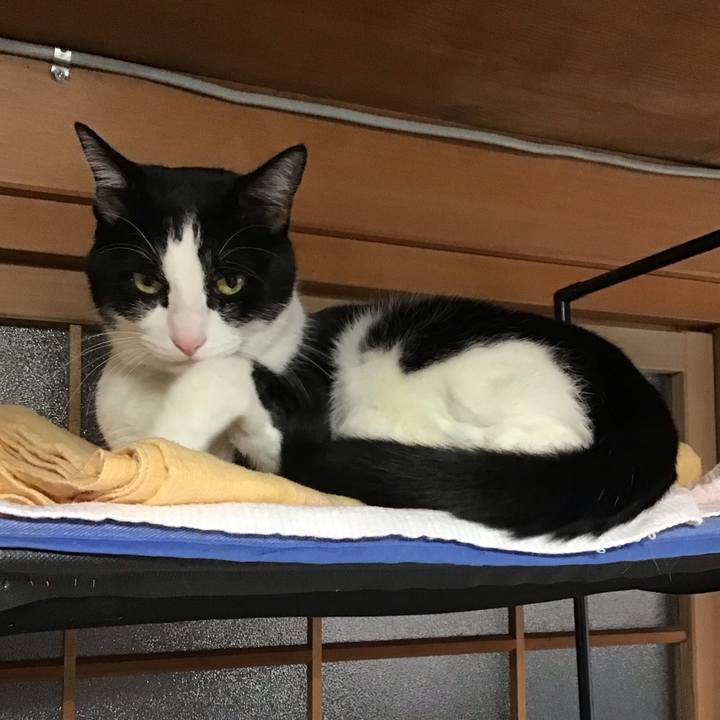 2bd0169e a955 40ce 8754 dfe8312d5069 1701756668217