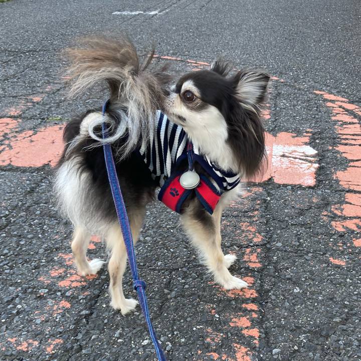 2bd01f7d 6d23 471f 9d46 020c746915df 1714840146127