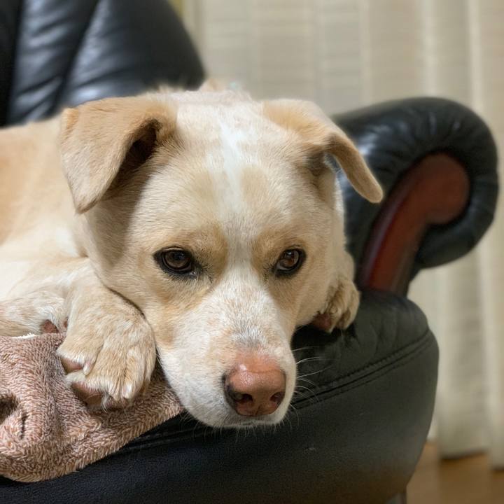 2bd01fec 0dca 4b0c 86ab 7fb2b6fd850c 1555243092692